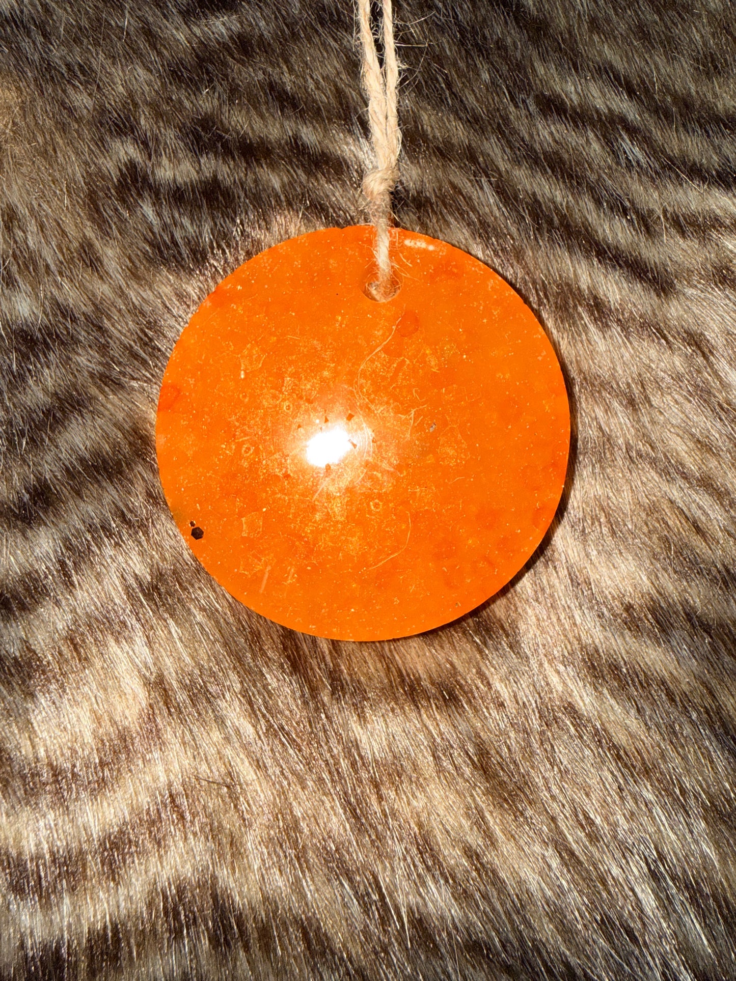 Pumpkin Pie