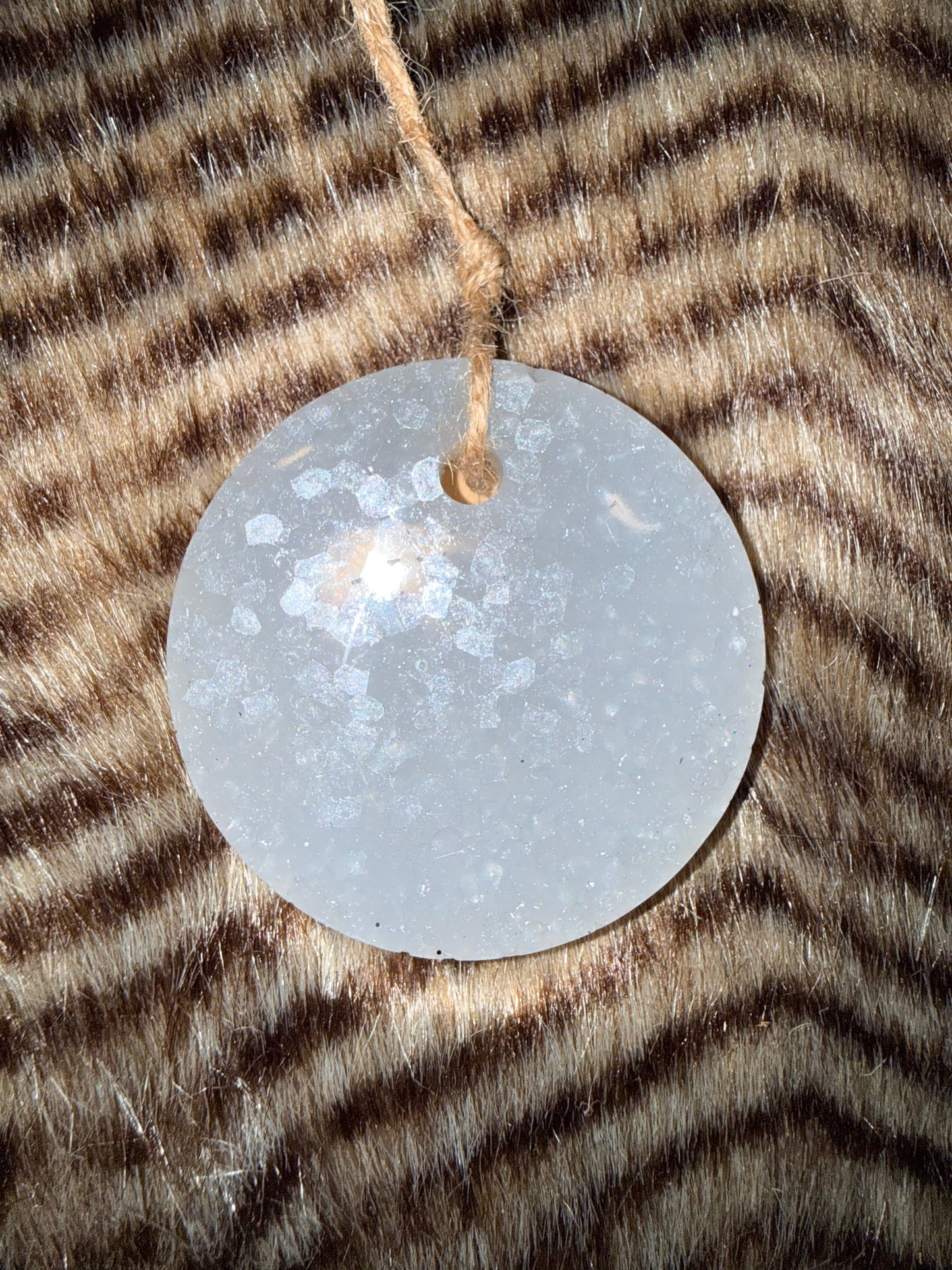 Coconut Shore