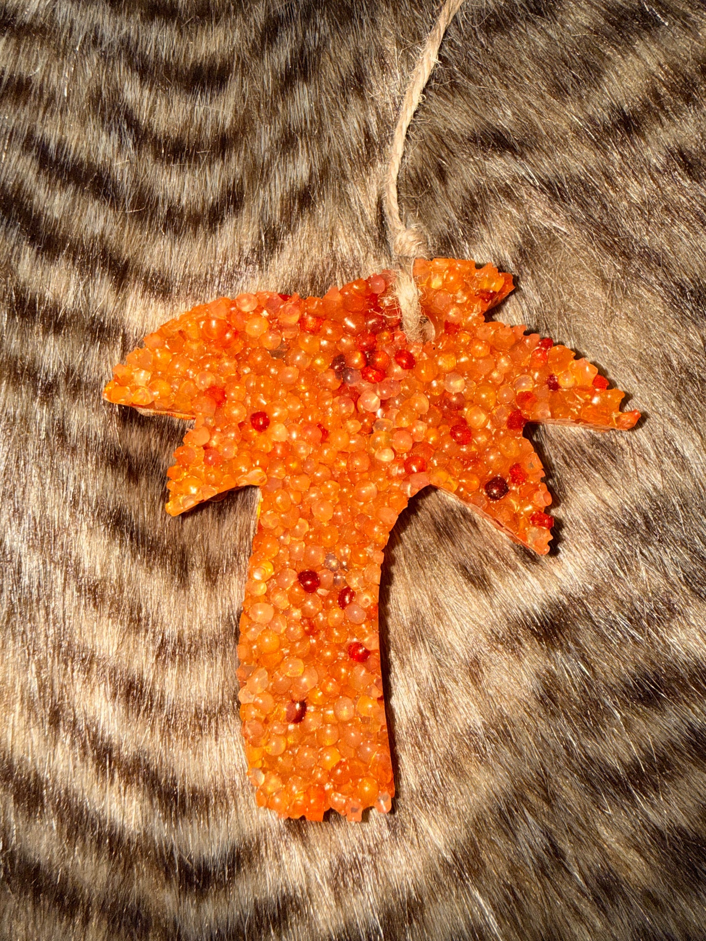 Mahogany Pumpkin
